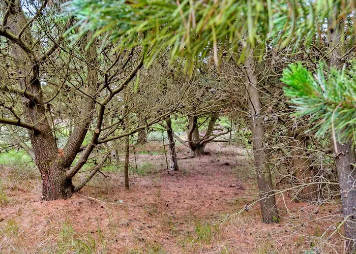 Hébergement de vacances Urpo - 6km From The Sea By Interhome